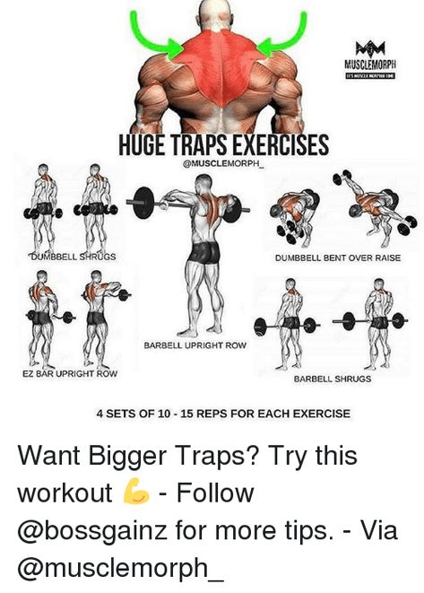 Memes, Exercise, and Rugs: MUSCLE MORPH  HUGETRAPS EXERCISES  @MUSCLE MORPH  UMBBELL  RUGS  DUMBBELL BENT OVER RAISE  BARBELL UPRIGHT ROW  EZ BAR UPRIGHT ROW  BARBELL SHRUGS  4 SETS OF 10 15 REPS FOR EACH EXERCISE Want Bigger Traps? Try this workout 💪 - Follow @bossgainz for more tips. - Via @musclemorph_ Traps Exercises, Traps Workout, Gym Antrenmanları, Gym Workout Chart, Muscle Building Workouts, Weight Training Workouts, Shoulder Muscles, Health And Fitness Articles, Body Workout Plan