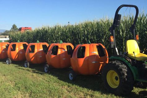 Pumpkin Patch Business, Farm Fest, Farm Festival, Diesel Train, Pig Races, Pumpkin Patch Farm, Raising Arizona, Garden Center Displays, Kids Play Equipment