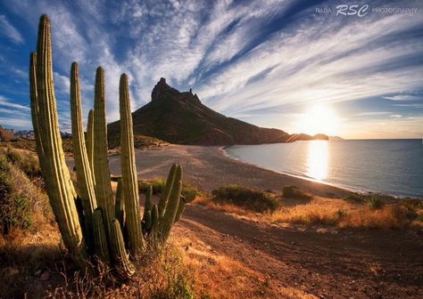 San Carlos Bay, Sea of Cortez, Sonora State, Mexico Roadtrip America, Couple Lifestyle, Arizona Landscape, Famous Pictures, America Latina, Sonoran Desert, Lifestyle Travel, Cabo San Lucas, Mexico Travel