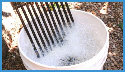 Best Ways to Clean Grill Grates [Guide + Reviews] Clean Bbq Grill Grates, Cleaning Bbq Grill, Grill Diy, Clean Grill Grates, How To Clean Bbq, How Do You Clean, Dawn Dish Soap, Barbeque Grill, Glass Cooktop