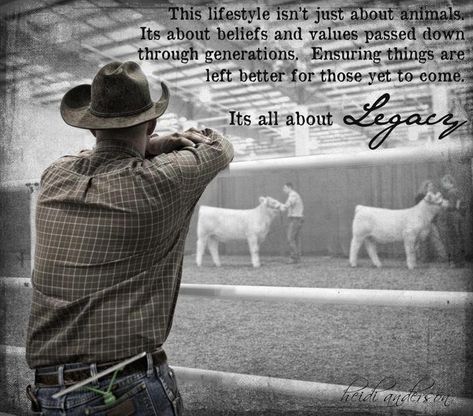 "This lifestyle isn't just about animals. It's about beliefs and values passed down through generations. Ensuring things are left better for those yet to come. It's all about legacy." Ranching Quotes, Sheep Quotes, Showing Pigs, 4h Livestock, Fair Animals, Fair Decorations, Agriculture Quotes, Livestock Quotes, Showing Cattle