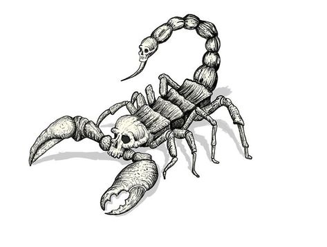 Scary Scorpion Tattoo, Scorpion Tattoo Masculine, Scorpion With Skull Tattoo, Mexican Scorpion Tattoo, Western Scorpion Tattoo, Cool Scorpion Tattoo, Scorpion Skeleton Tattoo, Squirpion Tattoos, Squrpion Tattoos