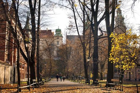 October Weather, Events, and Tips for Krakow, Poland Poland Aesthetics, October Weather, Poland Travel, Krakow Poland, Cold Nights, Fall Aesthetic, What To Pack, Krakow, Old City