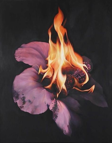 Flower On Fire, Burning Flowers, Growth And Decay, On Fire, Art Fair, Artist At Work, Contemporary Artists, Art Boards, Photography Inspiration