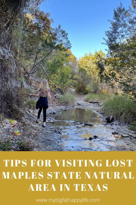 Tips for Visiting Lost Maples State Natural Area in Texas Lost Maples State Park Texas, Lost Maples State Park, Texas State Parks, Hacks And Tricks, Texas Travel, Texas State, Iconic Landmarks, Useful Tips, Tent Camping