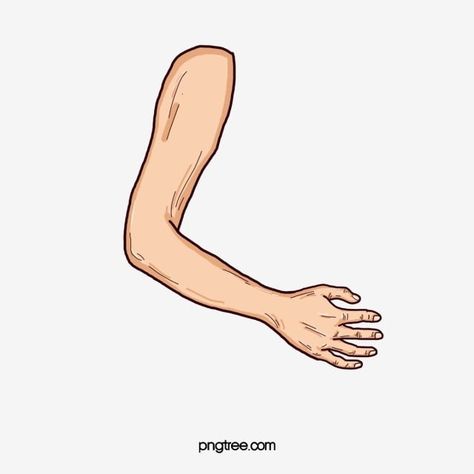 arm clipart,arm,finger,limb,palm,arm clipart,design clipart Arm Animation, Cartoon Arms, Arm Picture, Arms Drawing, Body Parts For Kids, Letter Tracing Printables, Hand Png, Apple Picture, Arm Drawing