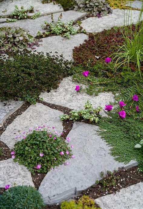 DIY Garden Paving Ideas To Make This Weekend Creekside Landscaping, Grassless Backyard, Front Yard Patio, Paving Ideas, Concrete Stepping Stones, Crazy Paving, Cement Garden, Pathway Landscaping, Garden Paving