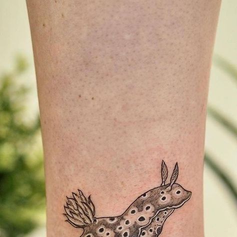 HAYTATTOO on Instagram: "Omg! What a cutie. Tattoo by Jenny @jen_urchin   This is a nudibranch, Hypselodoris tryoni 💚   And thank you for the awesome little sculpture :D   LIC 103315 #sydneytattoo #sydneytattoos #tattooartistsydney #tattooartistmag #sydneytattooartist #tattoosydney #australiantattooartist #marinetattoo #seaslug #seaslugs #nudibranch #nudibranchs #nudibranchtattoo #seaslugtattoo #marinelife #marinebiology #marineconservation" Sea Bunny Tattoo, Sea Slug Tattoo, Nudibranch Tattoo, Sea Urchin Tattoo, Bunny Sea Slug, Slug Tattoo, Sea Animal Tattoos, Marine Life Tattoo, Sea Tattoos