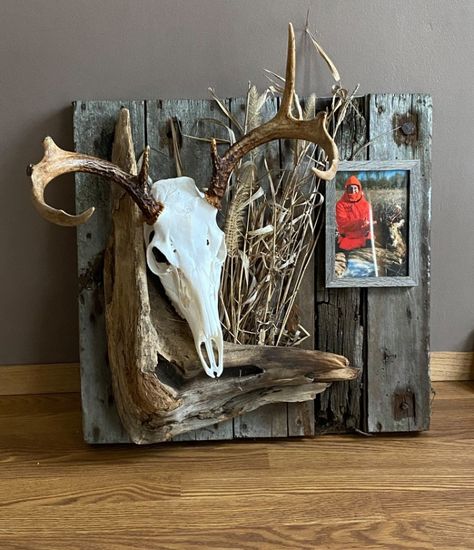 Different Deer Mounts, Gallery Wall With Deer Head, Rustic Deer Mounts, Squirrel Pelt Ideas, Deer Mount Decor Ideas, First Buck Mount Ideas, European Wall Mount Deer Skulls, European Mount Plaque Ideas, European Mount Ideas Rustic