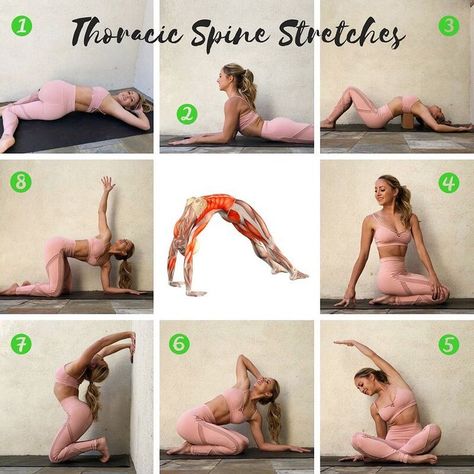 Today’s @getstretchy stretches are 8️⃣ super yummy Thoracic Spine Stretches!!  I’ve been covering backbends all of 2018 (so scroll back in… Ashtanga Vinyasa Yoga, Puppy Pose, Yoga Beginners, Yoga Posen, Yoga Mindfulness, Yoga Moves, Iyengar Yoga, Yoga Exercises, Easy Yoga Workouts