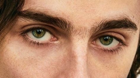 Eye Study, Facial Proportions, Head Anatomy, Face Angles, Beautiful Eyes Color, Eye Close Up, Dramatic Eyes, Male Eyes, Aesthetic Eyes