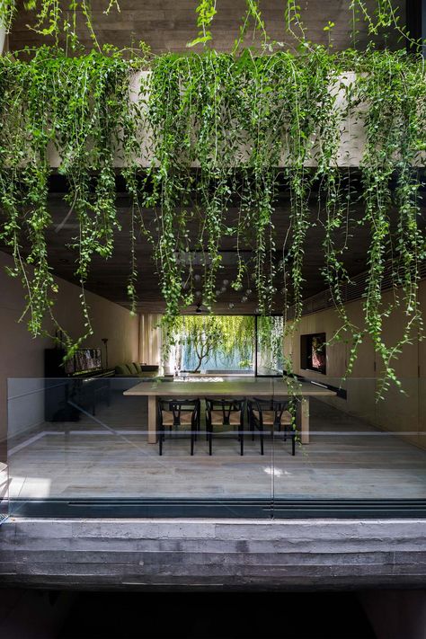 Extensive Hanging Plants Soften The Use Of Concrete In This Homes Design Modern Concrete Home, Custom Bed Frame, Doors And Floors, Concrete Home, Big Garden, Concrete House, Hanging Garden, Mini Garden, Green Wall