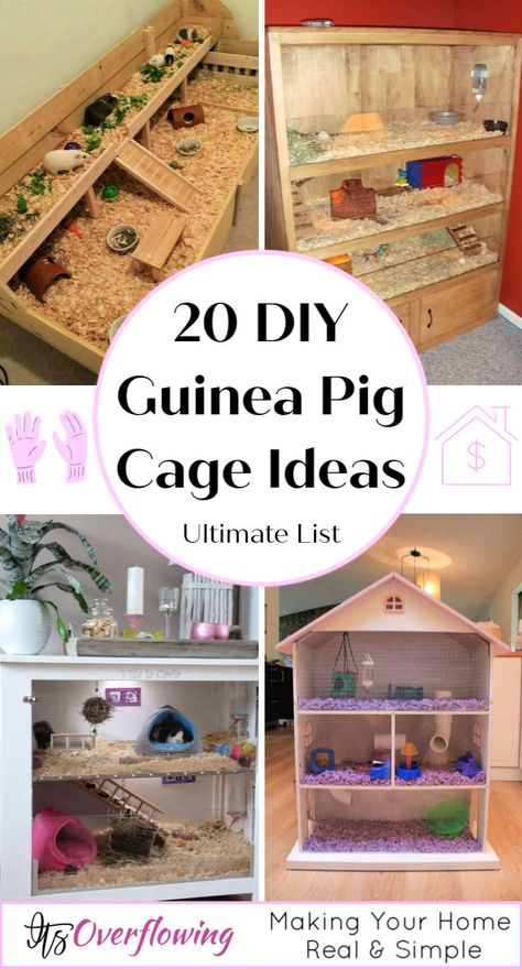 Guinea Pig Cage Idea Guinea Pig Cage Ideas, Indoor Guinea Pig Cage, Cavy Cage, Pig Habitat, Guine Pig, 9gag Amusant, Diy Guinea Pig Cage, Guinea Pig Diy, Guinea Pig Hutch