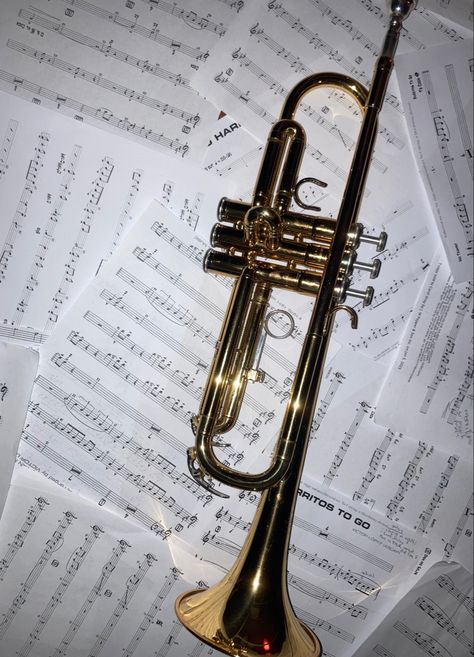 Jazz Trumpet Aesthetic, Jazz Musician Aesthetic, Jazz Band Aesthetic, Trumpet Pictures, Aesthetic Trumpet, Classic Music Aesthetic, Jazzy Aesthetic, Richard Core, Trumpet Aesthetic