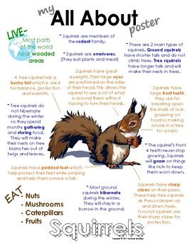 Squirrel Worksheet, Facts About Squirrels, North American Animals, Woodland Animal Art, Color Poster, American Animals, Fall Preschool, Animal Science, Nocturnal Animals