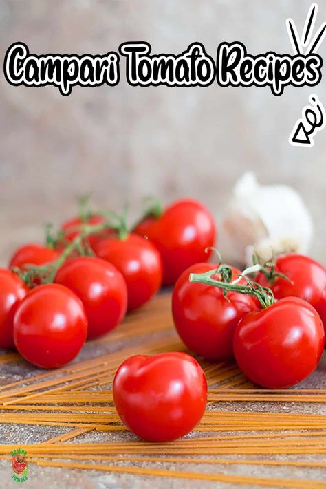 Campari Tomatoes Recipes, Roasted Campari Tomatoes, Campari Tomato Sauce, Recipes With Campari Tomatoes, Compari Tomatoes Recipes, Campari Tomato Recipes, Tomato Recipes Healthy, Tomato Sandwich Recipes, Campari Tomatoes