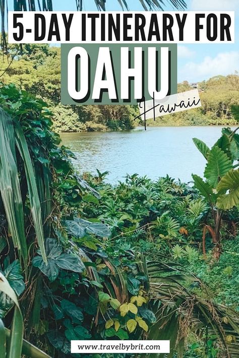 Oahu Travel Guide, Hawaii Looks, Oahu Itinerary, Hawaii Trip Planning, Hawaii Vacation Tips, Oahu Waikiki, Fun Trips, Hawaii Itinerary, Oahu Beaches