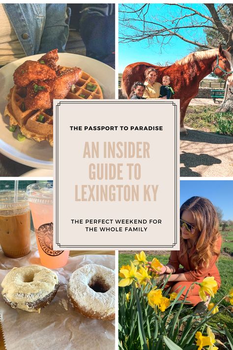 Pin to discover how to spend the perfect weekend in Lexington KY with this insider guide. Things To Do In Lexington Kentucky, Lexington Kentucky Things To Do, Kentucky Tourism Things To Do, What To Do In Lexington Ky, Lexington Kentucky Restaurants, Lexington Ky Restaurants, Best Restaurants In Lexington Ky, Triangle Park, Kentucky Vacation