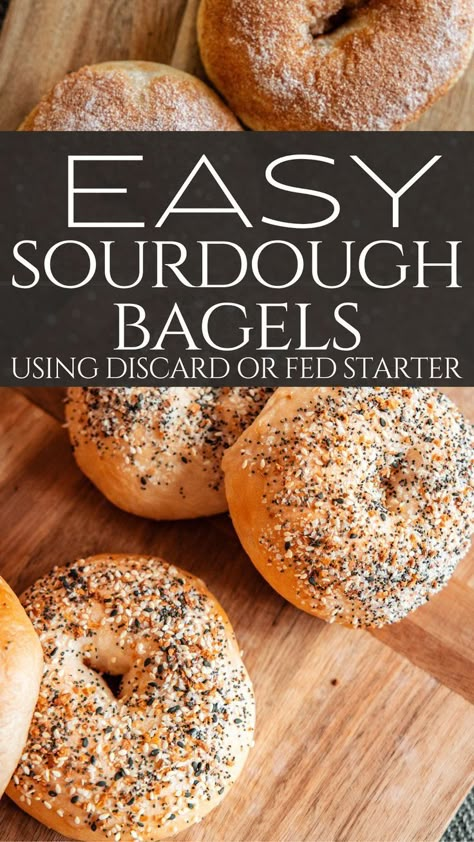 Sourdough Bagel, Recipe Using Sourdough Starter, Sourdough Bagels, Discard Recipe, Dough Starter, Sourdough Recipe, Sourdough Starter Discard Recipe, Easy Sourdough, Homemade Sourdough Bread