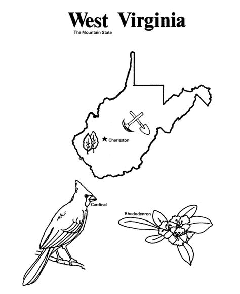 West Virginia State outline Coloring Page Culture Coloring Pages, Coloring Page Preschool, Bird Coloring Page, Virginia Map, Social Studies Lesson Plans, Bird Coloring, Flag Coloring Pages, Virginia State, Bird Coloring Pages