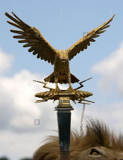 Roman standard Roman Eagle Standard, Roman Standard, Roman Eagle, Pax Romana, Roman Army, Roman Legion, Medieval Ages, Ancient Cultures, Ancient Rome