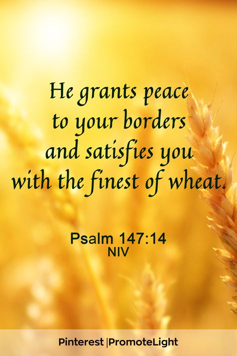 Prosperity Bible Verses, Prosperity Scriptures, Finding Faith, Bible Wisdom, Psalm 147, Book Of Psalms, Good Morning God Quotes, Verses Quotes, God Quotes