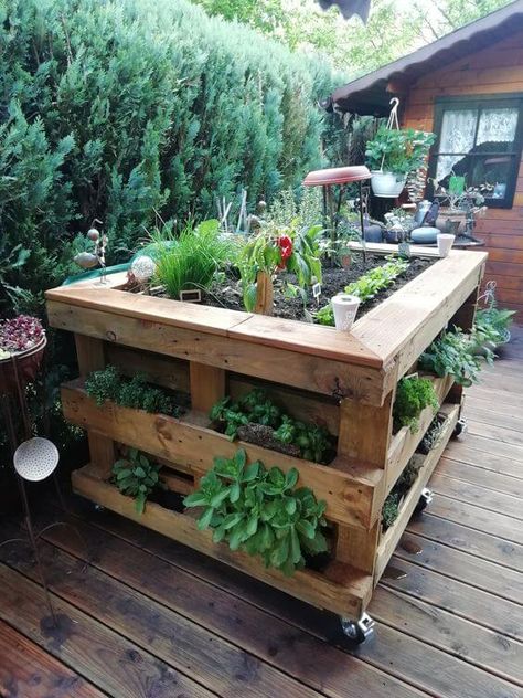 40 Spectacular Recycled Pallet Garden Ideas Pallet Projects Garden, Vegetable Garden Raised Beds, Thriving Garden, Veg Garden, Pallet Garden, Pallets Garden, Have Inspiration, Backyard Diy Projects, Garden Yard Ideas