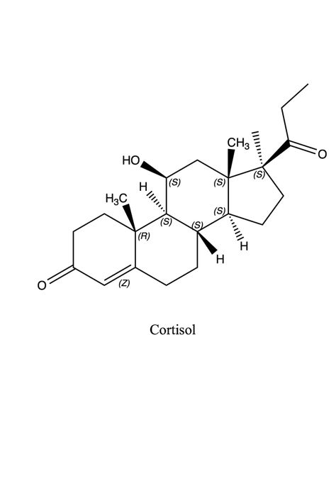 "Cortisol is a steroid hormone, in the glucocorticoid class of hormones, and is released in response to stress and low blood-glucose concentration. It functions to increase blood sugar through gluconeogenesis, to suppress the immune system, and to aid in the metabolism of fat, protein, and carbohydrates. It also can decrease bone formation." -Wikipedia Cortisol Molecule Tattoo, Cortisol Tattoo, Cortisol Molecule, Tattoos Reference, Congenital Adrenal Hyperplasia, Bone Formation, Tattoo Station, Molecule Tattoo, I Can't Draw