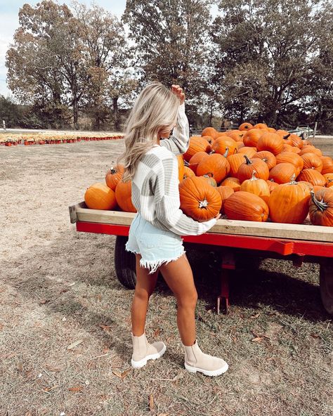 Pumpkin Picking Date Outfit, Pumpkin Patch Outfits Hot Weather, Pumpkin Patch Outfit Shorts, Pumpkin Patch Fall Outfits, Hot Pumpkin Patch Outfit, Summer Pumpkin Patch Outfit, Pumpkin Carving Outfit, Poses For Pumpkin Patch Pictures, Pumpkin Patch Outfit 2023