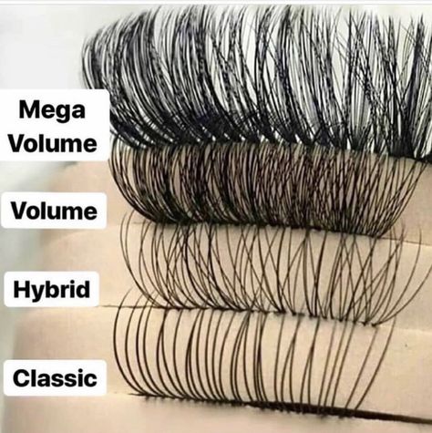 Types Of Eyelashes, Eyelashes Business, Eyelash Extensions Care, Semi Permanent Lashes, Lash Extension Training, Esthetics Room, Eyelash Extensions Styles, Perfect Eyelashes, Lash Extensions Styles