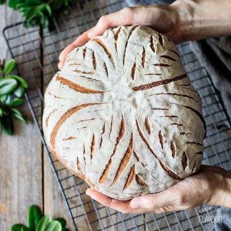 Easy White Mountain Bread: a simple and delicious white bread recipe perfect for beginners.  Use your Kitchenaid to mix up one loaf of fragrant yeast bread that’s so good your family will think it’s from an artisan bakery!  It only takes flour, salt, yeast, butter, honey, and water to make this delectable sandwich bread. | www.savortheflavour.com #yeastbread #fromscratch White Mountain Bread Recipe, Mountain Bread, Bread Scoring Patterns, Savory Bread Recipe, Bread Scoring, Artisan Bakery, Healthy Bread Recipes, White Bread Recipe, Sandwich Bread Recipes