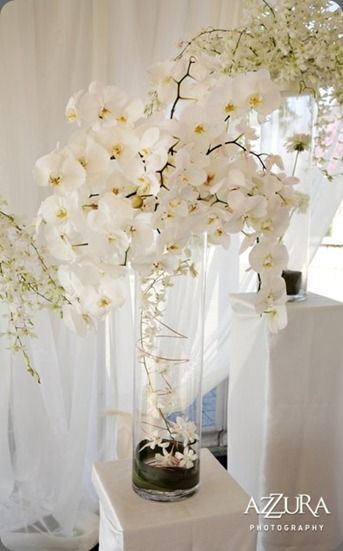 Wedding Centerpieces Cylinder Vases, White Wedding Centerpieces, Orchid Centerpieces, Table Arrangements Wedding, Flower School, Orchid Wedding, Orchid Arrangements, Phalaenopsis Orchid, Cylinder Vase