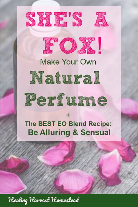 Learn how to make your own natural essential oil perfume three different ways: Roll-on, Spray, and Solid Perfume. PLUS my most popular aromatherapy blend, She’s a Fox. You will feel sexy, confident, and alluring. You can make this perfume for a friend for Valentine’s Day, too! It’s simple and easy. #natural #perfume #essentialoil #recipe #blend #sexy #valentinesday #gift #diy #easy #fast #Valentines #healingharvesthomestead Homemade Pheromone Oil, How To Make Body Oil Perfume, Essential Oil Blends For Seduction, Pheromone Perfume Diy, How To Make Perfume From Rose Petals, Make Perfume With Essential Oils, Natural Perfume Recipes, Perfume Oil Recipes, Benzoin Essential Oil