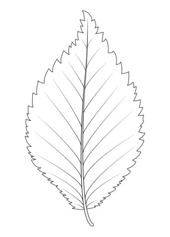 Dutch Elm Leaf Coloring page Elm Leaf Tattoo, Elm Leaf, Leaves Sketch, Leaf Coloring Page, Autumn Party, Blue Tattoo, Leaf Coloring, Sketchbook Journaling, Line Art Drawings