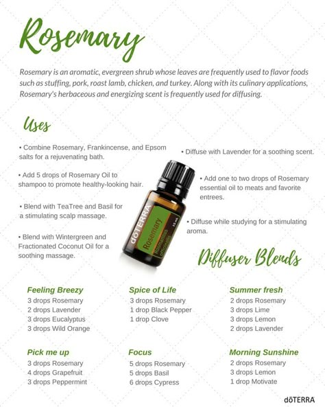 Madame Zeroni, Rosemary Essential Oil Uses, Doterra Rosemary, Hair Recipes, Doterra Blends, Diffuser Oils, Doterra Oil, Doterra Diffuser Blends, Rosemary Essential Oil