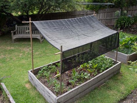 A step-by-step guide for making shade cover fitted for a garden bed. Made with bamboo poles and shade cloth Garden Sun Shade, Vegetable Garden Beds, Garden Shade, Garden Planter Boxes, Diy Shades, Pergola Design, Garden Area, Garden Plans, Sustainable Garden