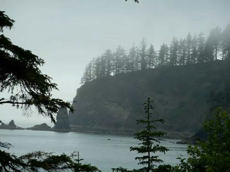 Third beach, La Push, WA Small Town Names, La Push Beach, The Twilight Saga, Twilight Saga, Nature Aesthetic, Pretty Places, Pacific Northwest, Small Towns, Happy Places