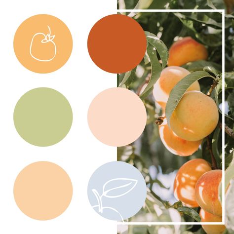 Vegetables Color Palette, Fruit Inspired Color Palette, Summer Fruit Color Palette, Passion Fruit Color Palette, Tropical Fruit Color Palette, Doodle Fruit, Fruity Design, Moodboard Design, Boho Branding