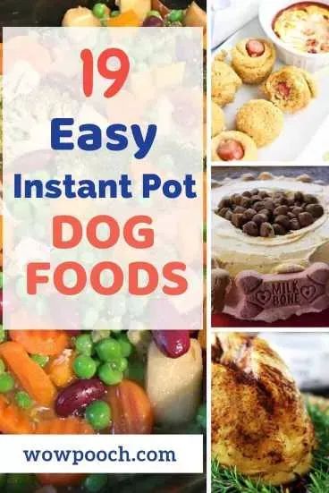 In addition  some dogs may suffer from food allergies that may include a reaction to one or more of the ingredients. Some dogs  such as poodles  are prone to having respiratory illnesses because of their tendency to snore or bark when it is time for their dinner. Instant Pot Dog Food Recipes, Dog Meals, Dogs Recipes, Cook Dog Food, Doggy Treats, Diy Dog Food, Make Dog Food, Pet Nutrition, Dog Biscuits Homemade