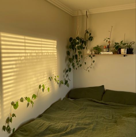 Bedroom inspiration, small bedroom ideas, plantroom, plant decor, plant aesthetics, plants in bedroom, morning sun, sunrise, shutters, sage green bedroom 2 Sisters Aesthetic, Bedroom Ideas Plants, Bedroom Ideas For 2 Sisters, Sisters Aesthetic, Bedroom Plants Decor, Zen Bedroom Ideas, Student Bedroom, Bedroom Ideas For Small Rooms Diy, Stylish Bedroom Decor