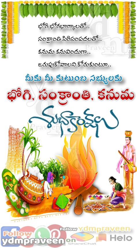 Sankranti Wishes In Telugu, Happy Sankranti Wishes, Shiva Shambo, Write Name On Pics, Pongal Greetings, Sankranthi Wishes, Makar Sankranti Greetings, Pongal Images, Happy Pongal Wishes