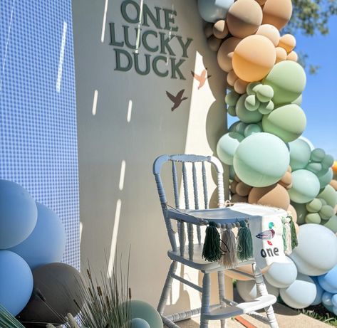 One Lucky Duck 🍀🦆✨ The blue gingham print, these colors, perfect *almost* fall weather, and the sweetest birthday boy made for the best 1st birthday along the river this weekend! And just call @alwaysinvited815 and @laurenashcookies the ultimate party dream team! Another perfectly color matched event in the books 🤩🥳 Lucky Duck Birthday, One Lucky Duck, Duck Party, Duck Birthday, Lucky Duck, Birthday Party Planning, Party Stuff, Fall Weather, Blue Gingham