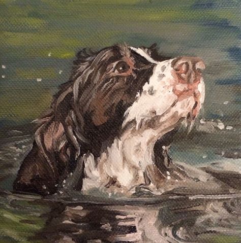 Springer Spaniel Painting, English Springer Spaniel Drawing, Springer Spaniel Art, Springer Spaniel Drawing, Working Springer Spaniel, Painting Dogs, Animal Paintings Acrylic, Spaniel Art, Springer Spaniels