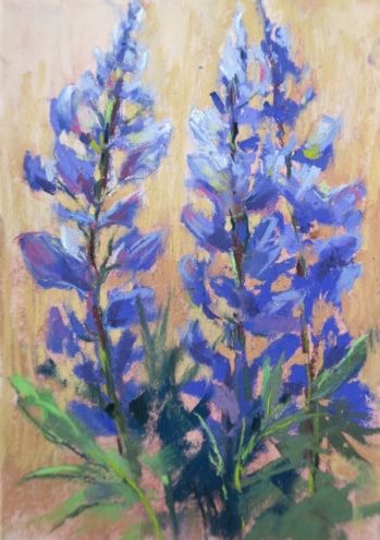 Tips for Painting Lupines -- Karen Margulis Botanic Painting, Tips For Painting, Lupine Flowers, Chalk Pastel Art, Soft Pastel Art, Oil Pastel Paintings, Pastel Landscape, Abstract Floral Art, Oil Pastel Art