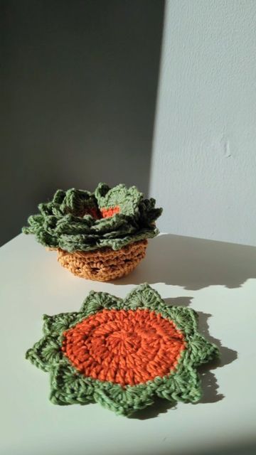 Crochet Succulent Coasters In Pot, Crochet Coaster Sets Free Pattern, Succulent Plant Pot Coaster Set Crochet Pattern, Plant Coaster Crochet Pattern, Succulent Coaster Crochet Pattern Free, Succulent Coasters Crochet Free Pattern, Crochet Coaster Plant, Succulent Coaster Crochet Pattern, Crochet Succulent Coasters Free Pattern