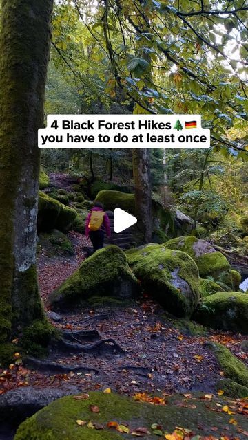 Ryne Cook & Denise Cook | Outdoor Travel on Instagram: "The Black Forest is one of our favorite areas for hiking in Germany!

Why? Because the forest just look so magical, just straight out of a fairytale! 🤩

So here are some of our favorite hikes that we think everybody should do at least once!😊

1. Klösterle Schleife: 8 km
2. Karlsruher Grat: 12 km
3. Allerheiligen waterfalls: 3 km
4. Gertelbach falls and gorge: 9 km

Save this for your future hiking adventures in Germany! 

#hikinggermany #visitgermany #germanytrip #hikingadventures #blackforest #blackforestgermany" Germany Hiking, Black Forest Germany, Hiking Adventures, The Black Forest, Visit Germany, Airplane Mode, G Adventures, Black Forest, Outdoor Travel