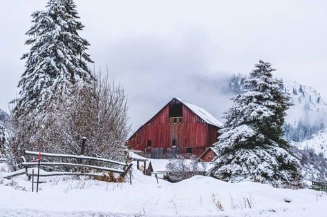 28 Farm Layout Design Ideas to Inspire Your Homestead Dream Outhouse Plans, Earthbag House, Diy Composting Toilet, Rocket Mass Heater, Toilet Ideas, Off Grid Homestead, Alternative Housing, Outdoor Toilet, Medicinal Tea