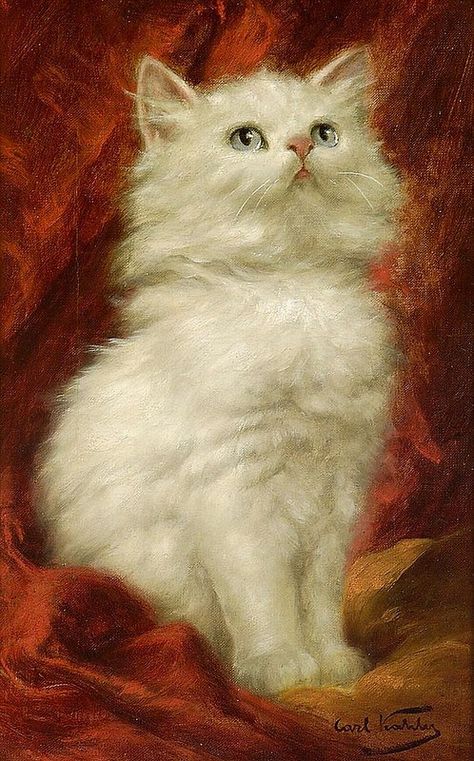 Carl Kahler, White Cat Cat Portrait Painting, White Kitten, Cat Art Illustration, 19th Century Art, White Kittens, Cat Artwork, Tableau Art, Watercolor Cat, Cat Photography