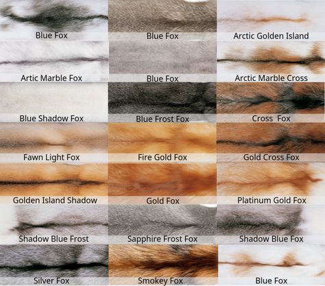 Fox Fur Coat : The Ultimate Guide - Haute Acorn Powerful Women Fashion, Fur Coat Outfit, Gold Fox, Fox Coat, Lady Clothes, Mink Colour, Fox Pictures, Fox Fur Jacket, Summer Coats