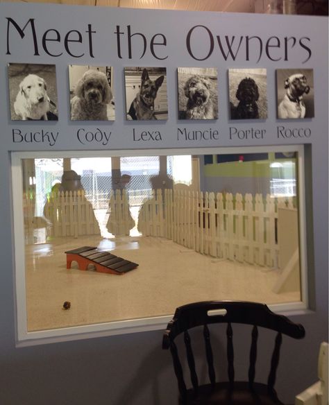 Dog Daycare Aesthetic, Dog Daycare Lobby, Doggie Daycare Ideas Business, Doggie Daycare Ideas, Doggy Daycare Ideas, Dog Daycare Ideas, Doggy Daycare Business, Dog Boarding Facility Ideas, Puppy Daycare